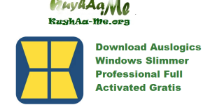 Download Auslogics Windows Slimmer Professional 5.1.0 Full Activated Gratis 