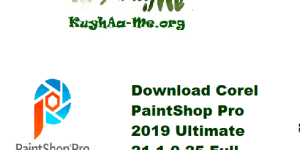 Download Corel PaintShop Pro 2019 Ultimate 21.1.0.25 Full Activated Gratis