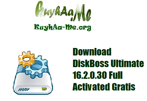 Download DiskBoss Ultimate 16.2.0.30 Full Activated Gratis