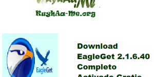 Download EagleGet 2.1.6.40 Completo Activado Gratis