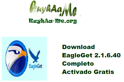 Download EagleGet 2.1.6.40 Completo Activado Gratis