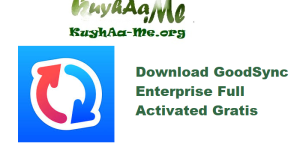 Download GoodSync Enterprise 12.9.3.3 Full Activated Gratis 