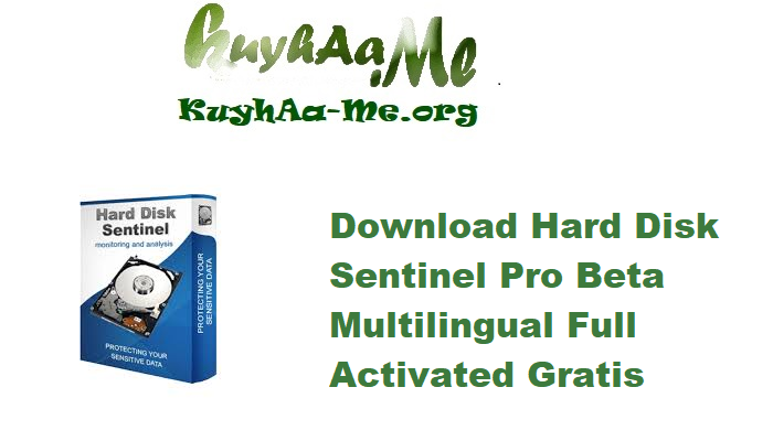 Download Hard Disk Sentinel Pro 6.30.2 Beta Multilingual Full Activated Gratis 