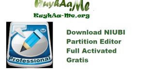 Download NIUBI Partition Editor 10.2.0 Full Activated Gratis 