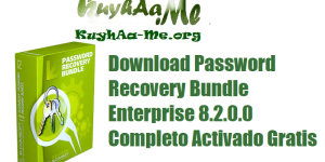 Download Password Recovery Bundle Enterprise 8.2.0.0 Completo Activado Gratis