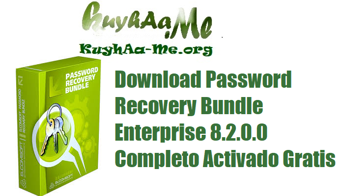 Download Password Recovery Bundle Enterprise 8.2.0.0 Completo Activado Gratis