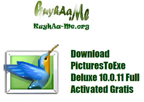 Download PicturesToExe Deluxe 10.0.11 Full Activated Gratis
