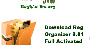 Download Reg Organizer 8.81 Full Activated Gratis