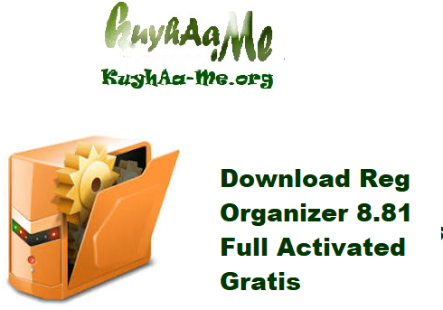 Download Reg Organizer 8.81 Full Activated Gratis
