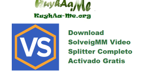 Download SolveigMM Video Splitter 8.1.2507.18 Completo Activado Gratis 