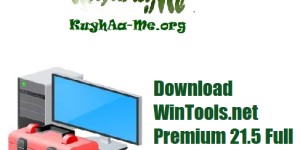 Download WinTools.net Premium 21.5 Full Activated Gratis