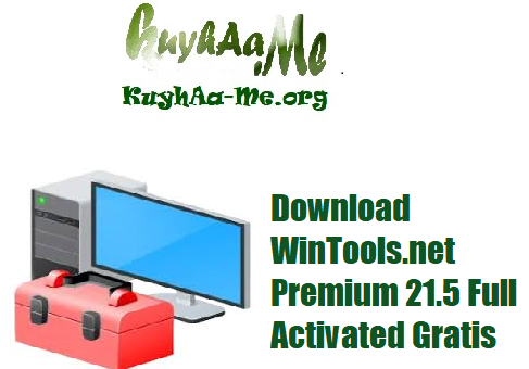 Download WinTools.net Premium 21.5 Full Activated Gratis