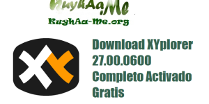 Download XYplorer 27.00.0600 Completo Activado Gratis 