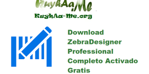 Download ZebraDesigner Professional 3.3.0.89 Completo Activado Gratis 