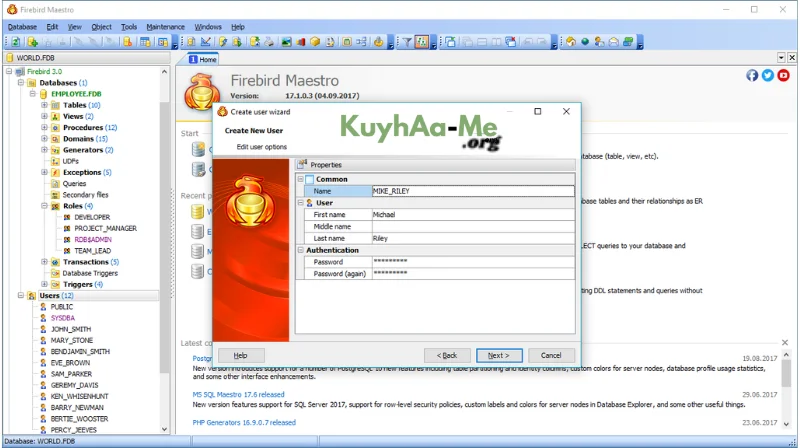 Firebird Maestro 19.8.0.1 Full Terbaru Version Download 