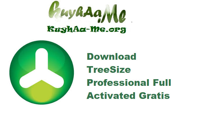 Download TreeSize Professional 9.6.0.2152 Full Activated Gratis