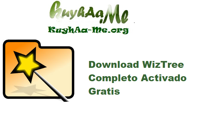 Download WizTree 4.26 Completo Activado Gratis 