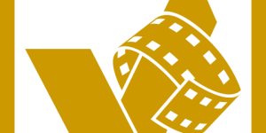ACDSee Video Converter Pro 5.0.0.799 Full Version