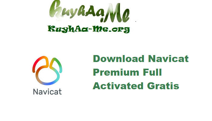 Download Navicat Premium 17.3.0 Full Activated Gratis 