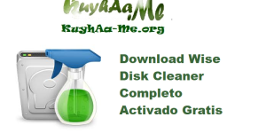 Download Wise Disk Cleaner 11.2.5.845 Completo Activado Gratis