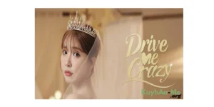 Drive Me Crazy Free Download