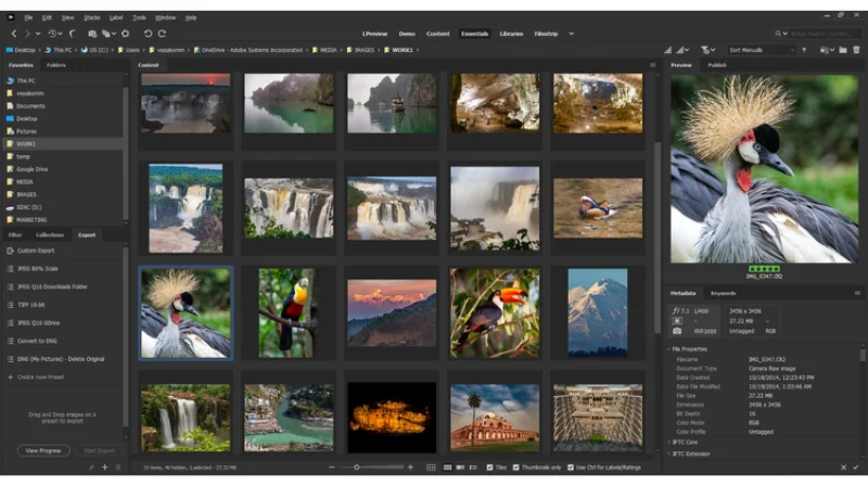 Adobe Bridge v2024 Full Terbaru Download 