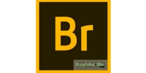 Adobe Bridge v2024 Full Version Download