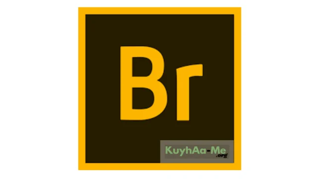 Adobe Bridge v2024 Full Version Download