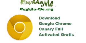 Download Google Chrome Canary 137.0.7130.0 32Bit_64Bit Full Activated Gratis