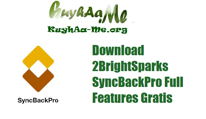 Download 2BrightSparks SyncBackPro 11.3.106 Full Features Gratis 