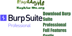 Download Burp Suite Professional Full Features Gratis 