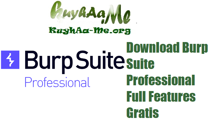 Download Burp Suite Professional Full Features Gratis 