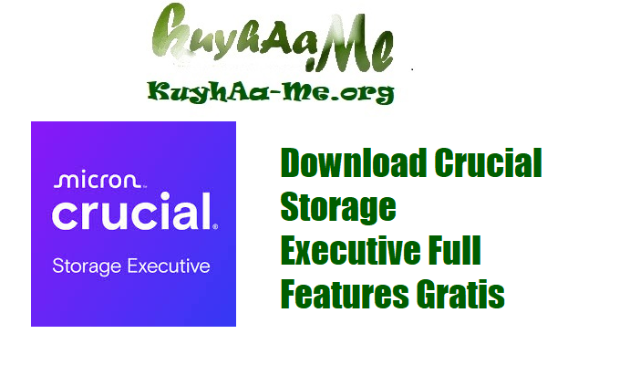 Download Crucial Storage Executive 11.03.032025.00 Full Features Gratis