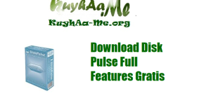 Download Disk Pulse Full Features Gratis