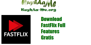 Download FastFlix Full Features Gratis