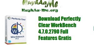 Download Perfectly Clear WorkBench 4.7.0.2790 Full Features Gratis 