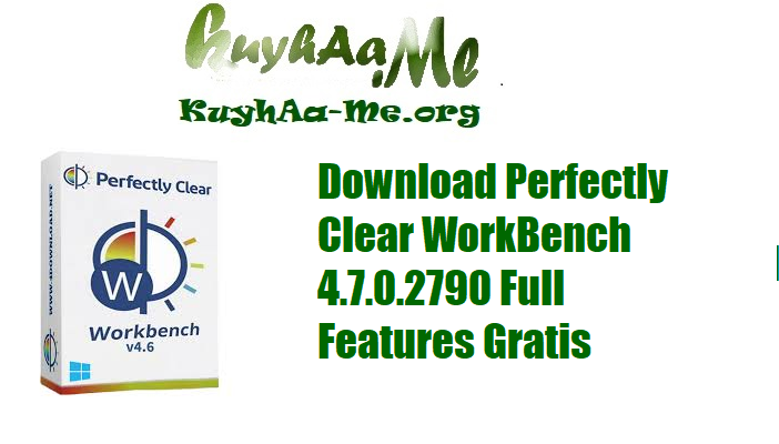Download Perfectly Clear WorkBench 4.7.0.2790 Full Features Gratis 