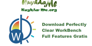 Download Perfectly Clear WorkBench 4.8.0.2846 Full Features Gratis 