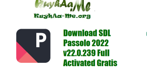 Download SDL Passolo 2022 v22.0.239 Full Activated Gratis