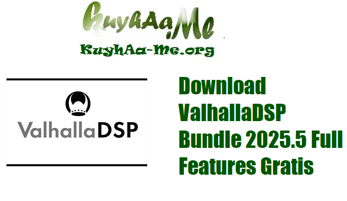 Download ValhallaDSP Bundle 2025.5 Full Activated