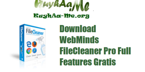Download WebMinds FileCleaner Pro Full Features Gratis 