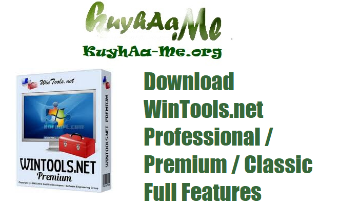 Download WinTools.net Professional / Premium / Classic 25.6.1 Full Features