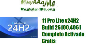 Download Windows 11 Pro Lite v24H2 Build 26100.4061 Completo Activado Gratis 