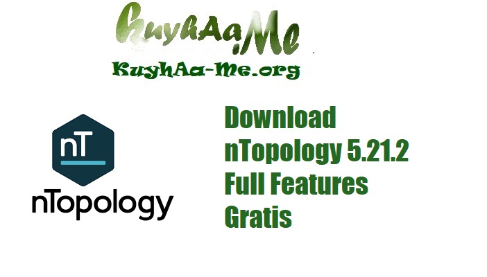 Download nTopology 5.21.2 Full Features Gratis 