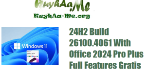 Windows 11 Pro 24H2 Build