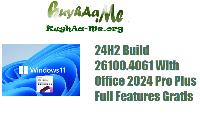 Windows 11 Pro 24H2 Build