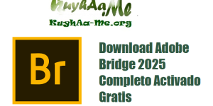 Download Adobe Bridge 2025 v15.1.0.635 Completo Activado Gratis 