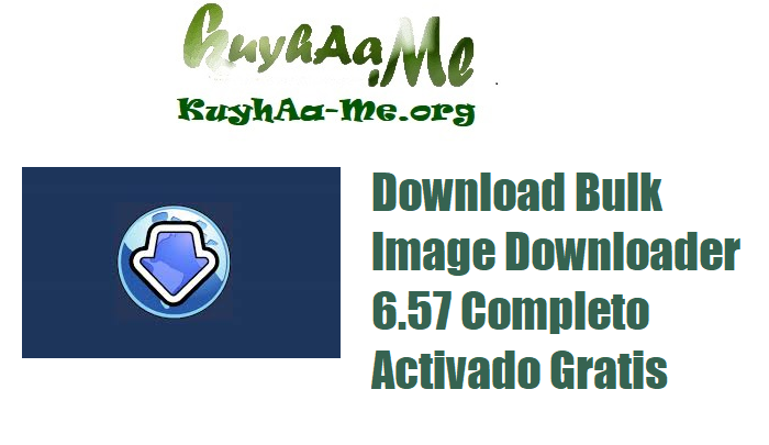 Download Bulk Image Downloader 6.57 Completo Activado Gratis 