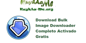 Download Bulk Image Downloader 6.59 Completo Activado Gratis 