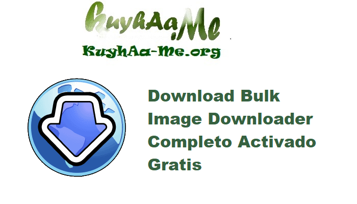 Download Bulk Image Downloader 6.59 Completo Activado Gratis 